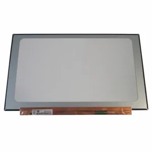 NV161FHM-NX2 LCD Screen vista frontal